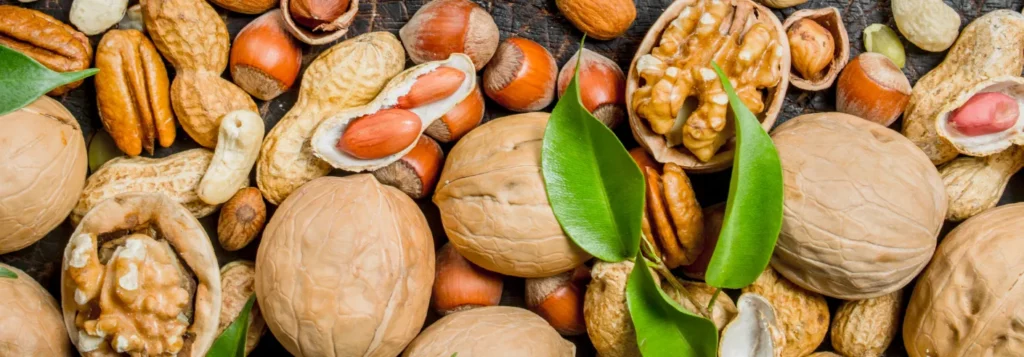 Nuts Make You Feel Full (Satiety)